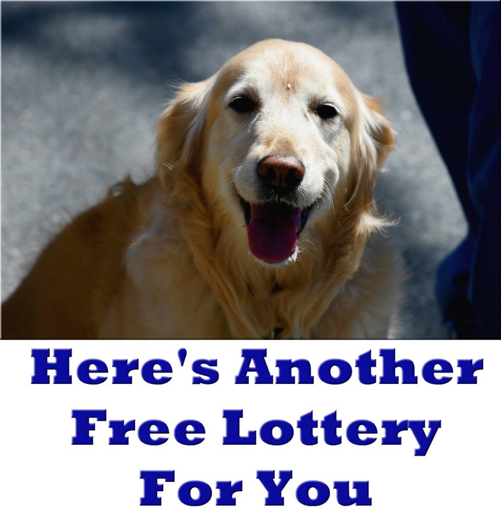 Free Lottery