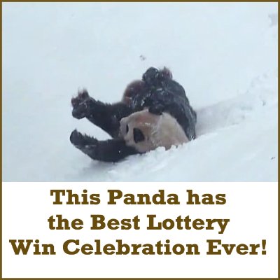 Best Lottery Win Celebration